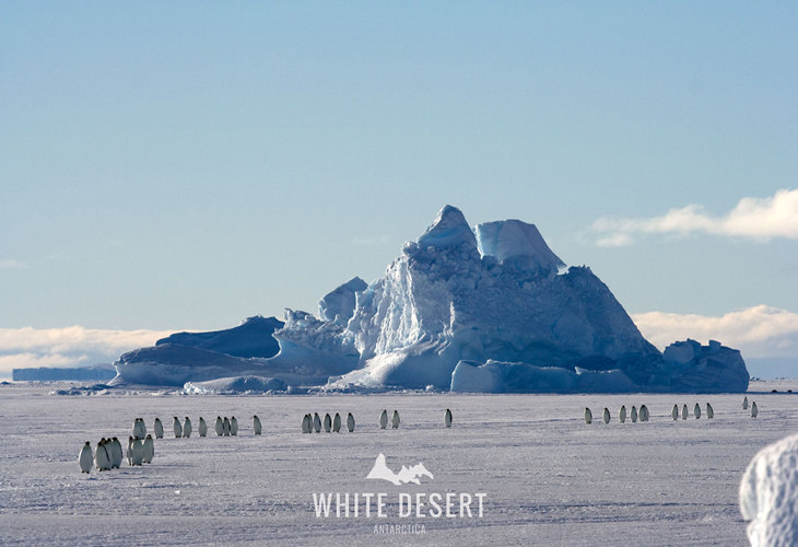 White Desert Antarctica