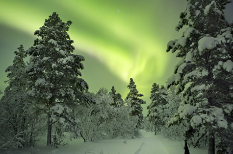 Northern Lights in Lapland