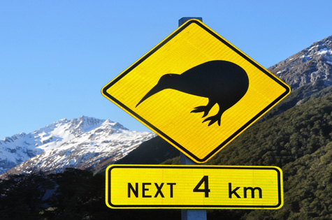 Kiwis crossing road sign