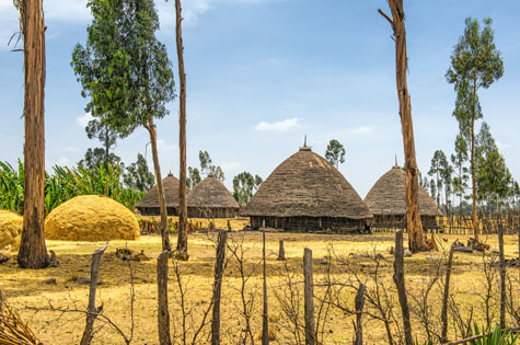 Traditional village houses near Addis Ababa