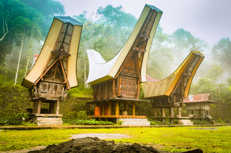 Sulawesi traditional historic houses Toraja region