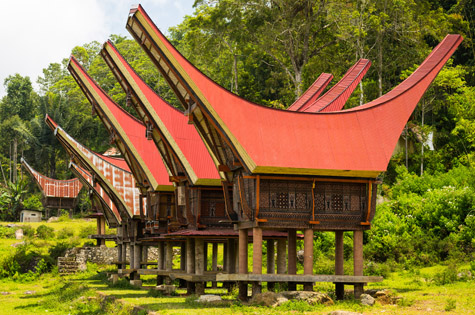 traditional village Tana Toraja, South Sulawesi