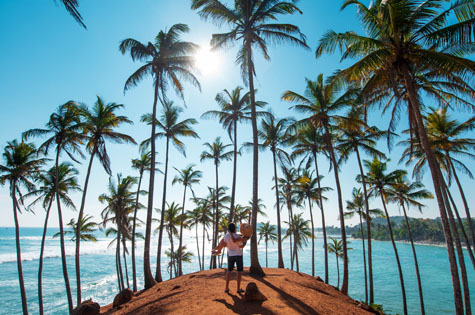 Coconut tree hill in Mirissa