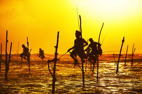 Stilt Fishermen