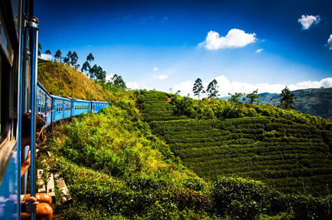 train from Nuwara Eliya to Kandy through tea plantations