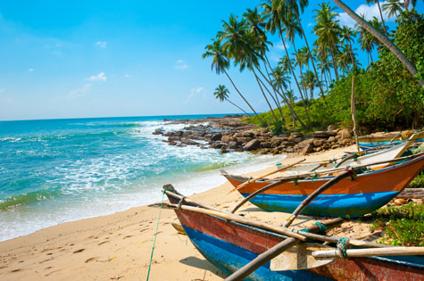 Traditional fishing boats