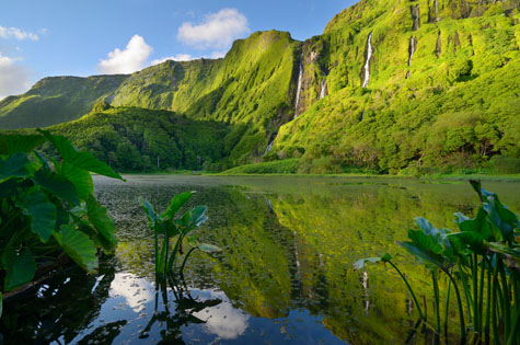 Flores island Poço da Alagoinha lush forest & waterfalls