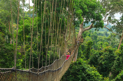 Kakum canopy walkway