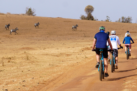 Bush cycling