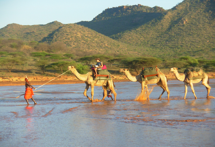 Karisia Walking Safaris