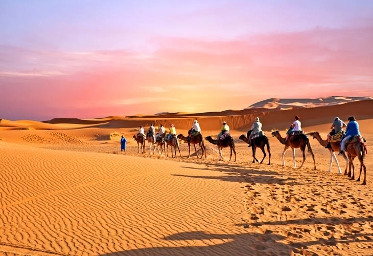 Morocco camel train in desert