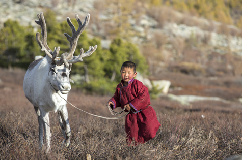 Mongolia tsaatan boy