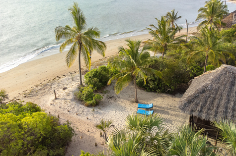 Simply Saadani Camp