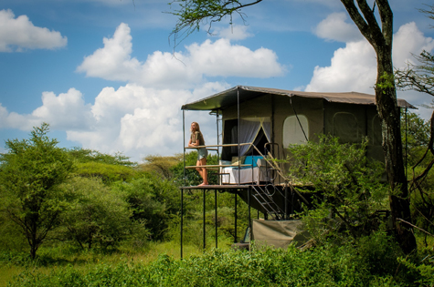 Bush Rover safari suite