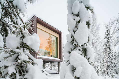 Cabin at Arctic Treehouse Hotel