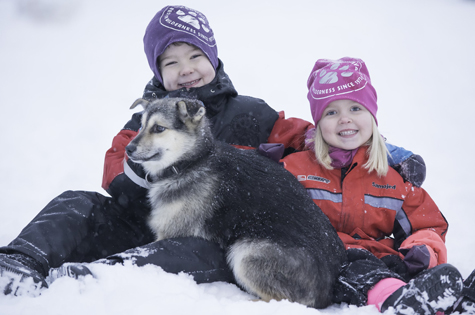 Meeting Huskie puppies