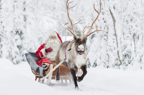 Santa and reindeer in Lapland
