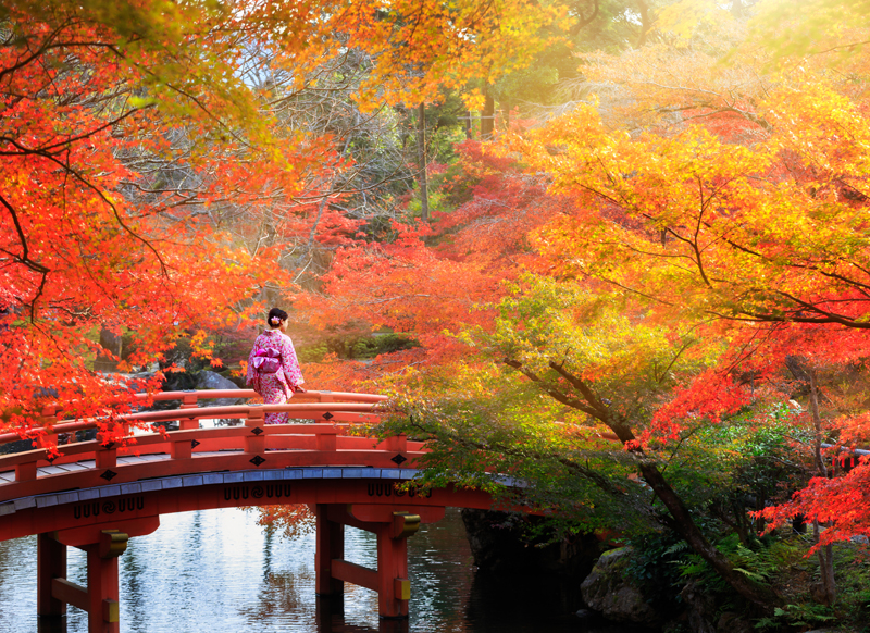 Japan - Kyoto autumn leaves